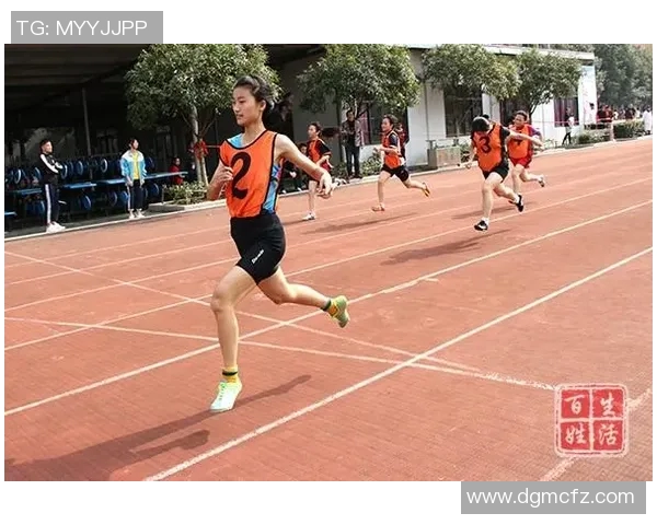 四川省体育明星最新排名揭晓各项运动代表人物风采尽显